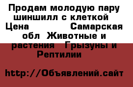  Продам молодую пару шиншилл с клеткой › Цена ­ 12 000 - Самарская обл. Животные и растения » Грызуны и Рептилии   